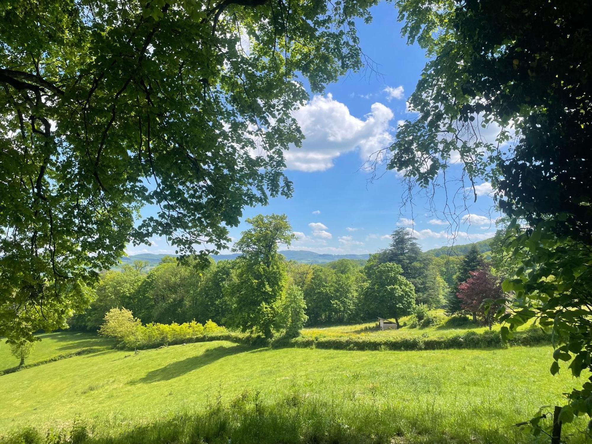 Chateau De Vaux Morvan Etang-sur-Arroux Buitenkant foto