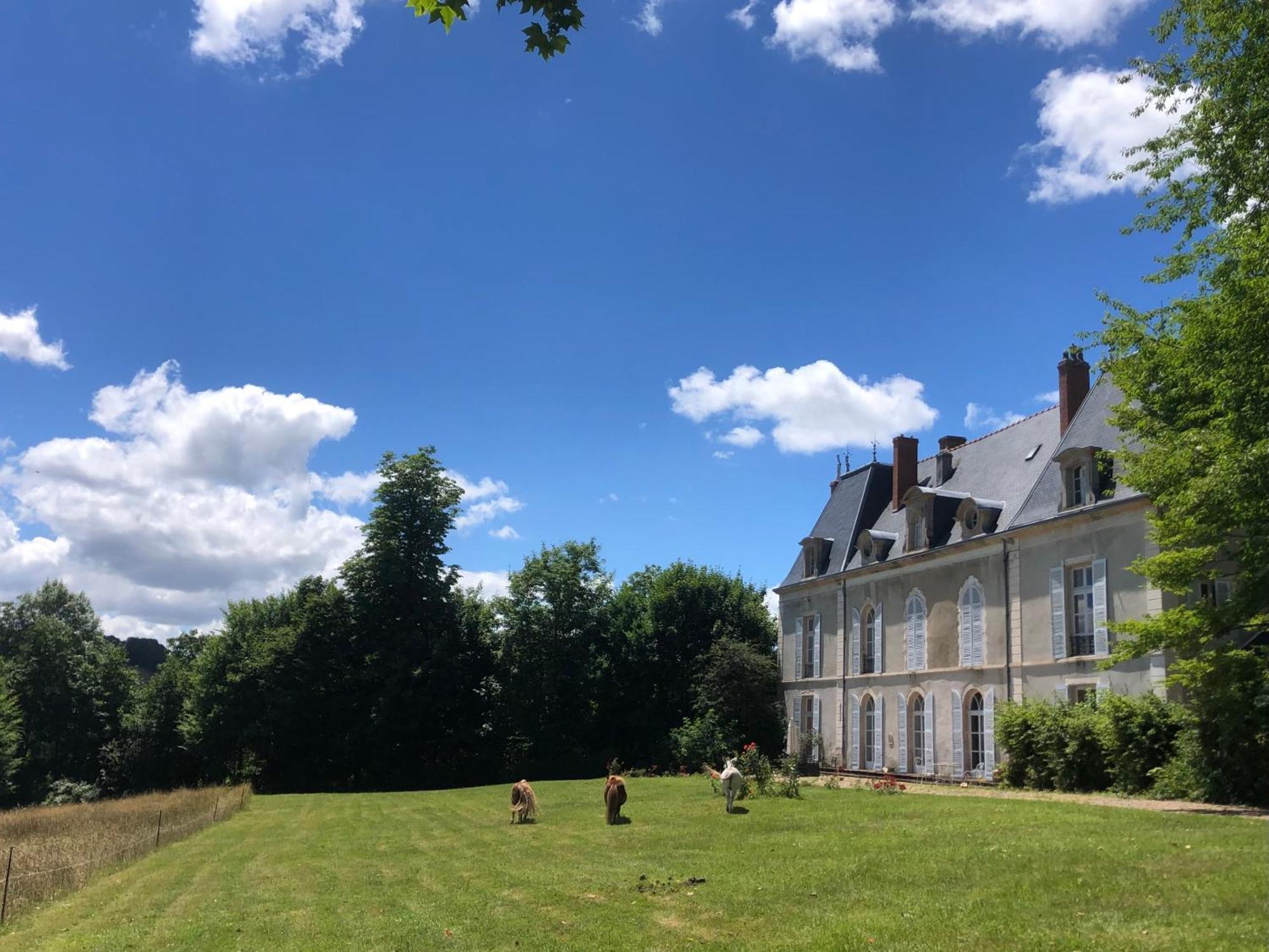 Chateau De Vaux Morvan Etang-sur-Arroux Buitenkant foto