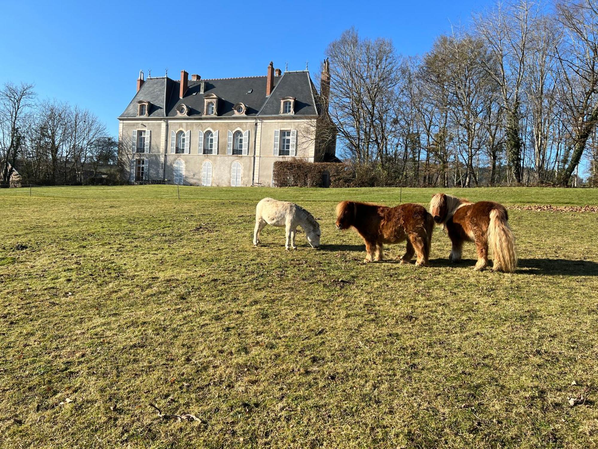 Chateau De Vaux Morvan Etang-sur-Arroux Buitenkant foto