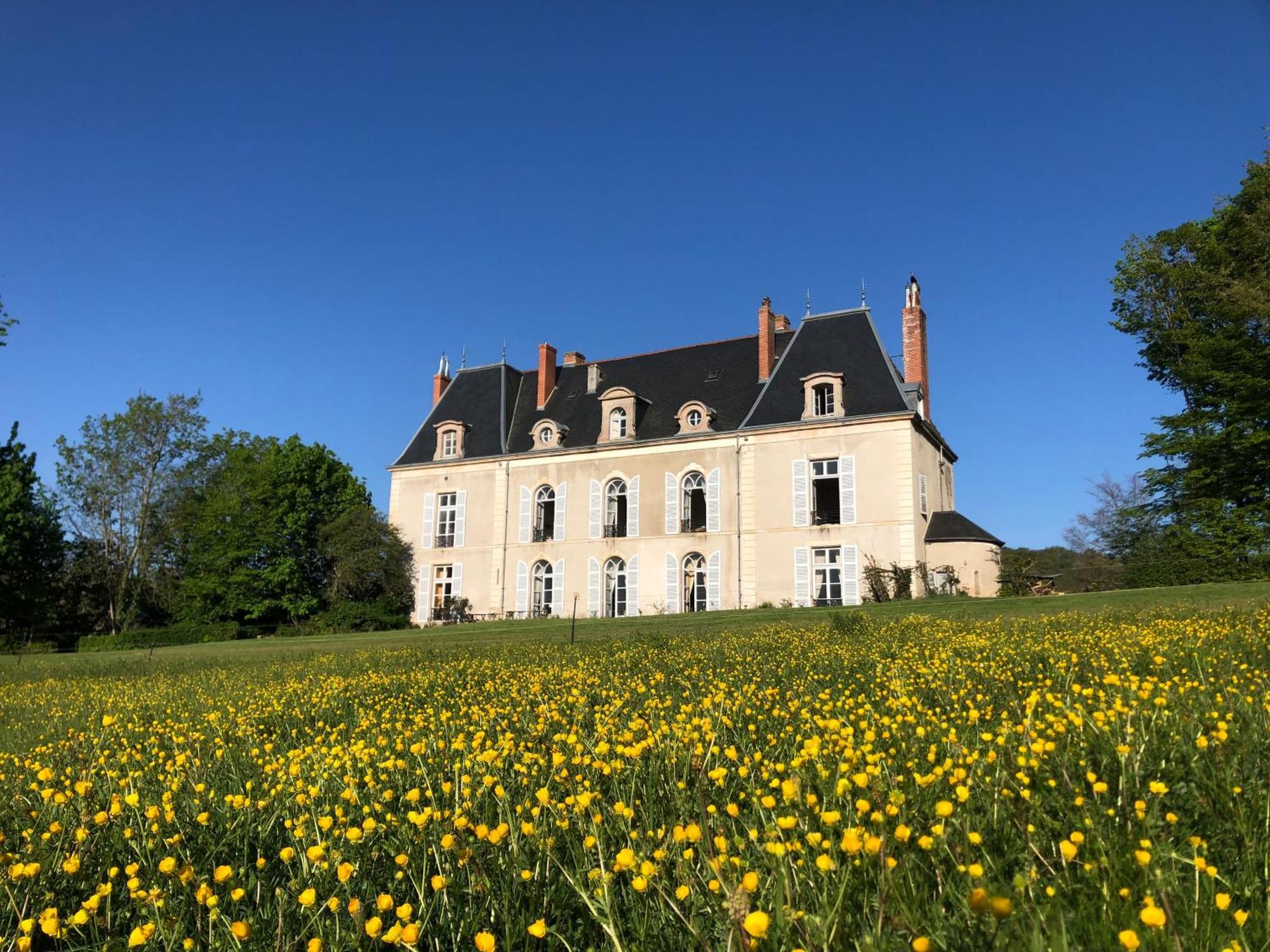 Chateau De Vaux Morvan Etang-sur-Arroux Buitenkant foto
